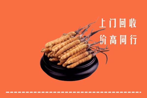 收购行情：婺源县冬虫夏草回收多少钱每克
