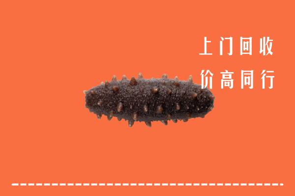 收购行情：婺源县回收海参