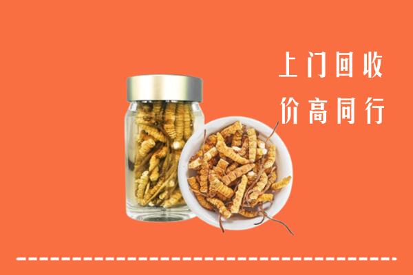 婺源县回收冬虫夏草