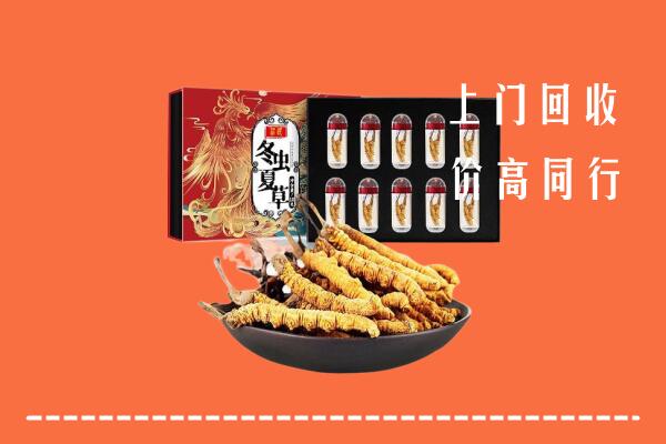 婺源县回收虫草